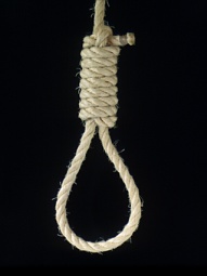 noose