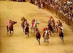 palio