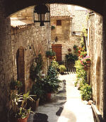 assisi