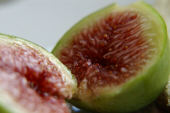 fig