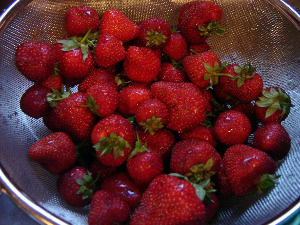Strawberries for homemade gelato