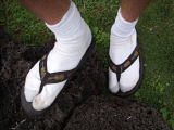 sandals