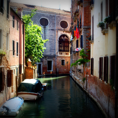venicepage3