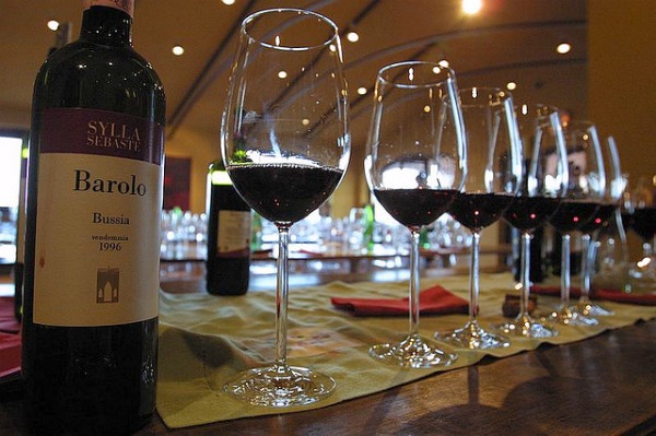 vineyard5