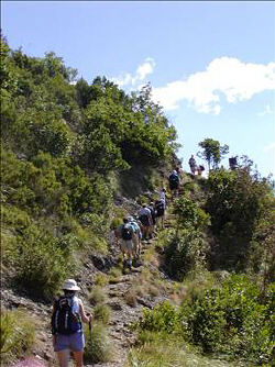 trail