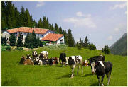 agriturismo