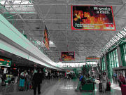 fiumicino2