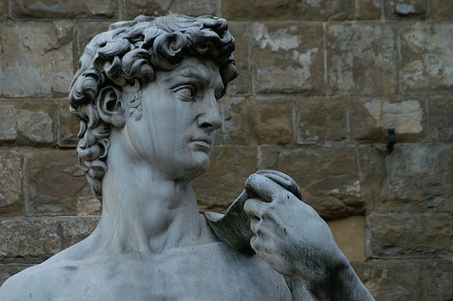 david