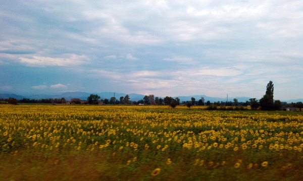 traintravel_6