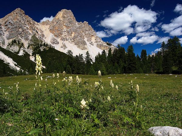 trentino1