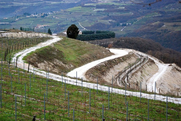 dreamdrives_valpolicella1