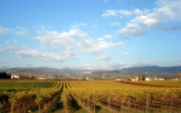 dreamdrives_valpolicella3