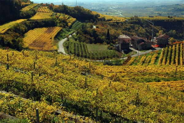 dreamdrives_valpolicella4