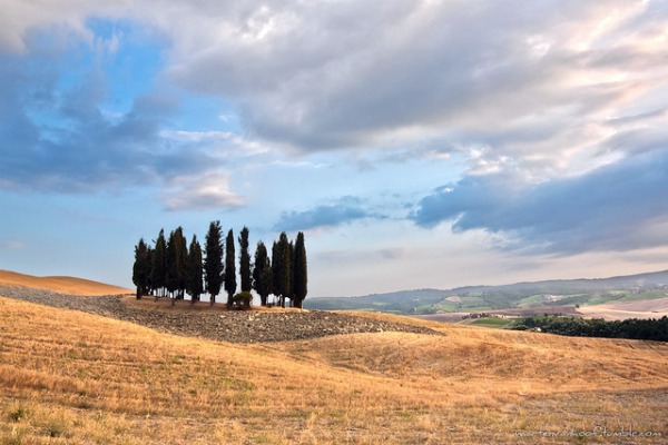 tuscanyrome2