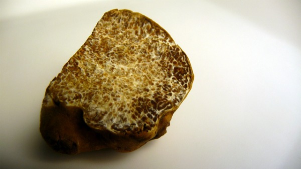 whitetruffle2