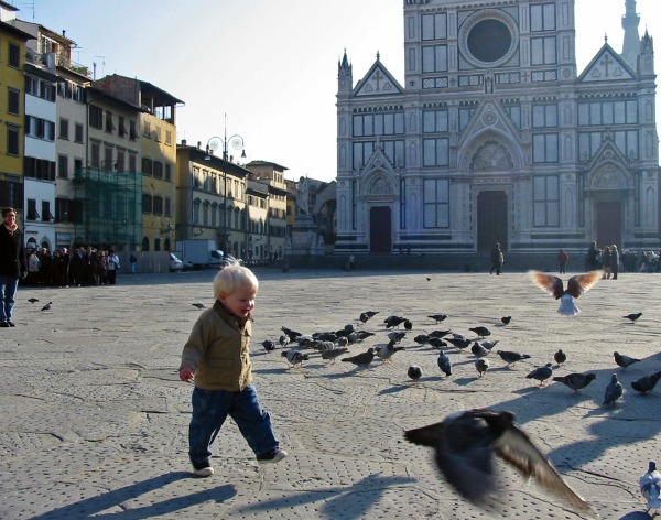 Chasing pigeons Santa Croce